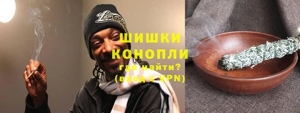 шишки Баксан