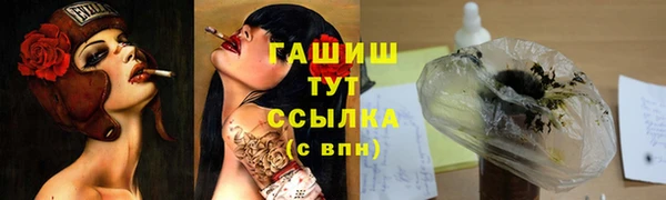 шишки Баксан