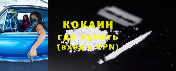 шишки Баксан