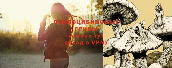 шишки Баксан