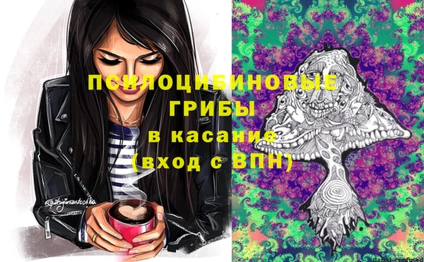 шишки Баксан