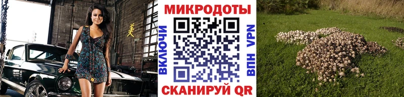 Псилоцибиновые грибы MAGIC MUSHROOMS  Новоалександровск 