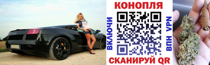 Бошки Шишки гибрид  блэк спрут как зайти  Новоалександровск 